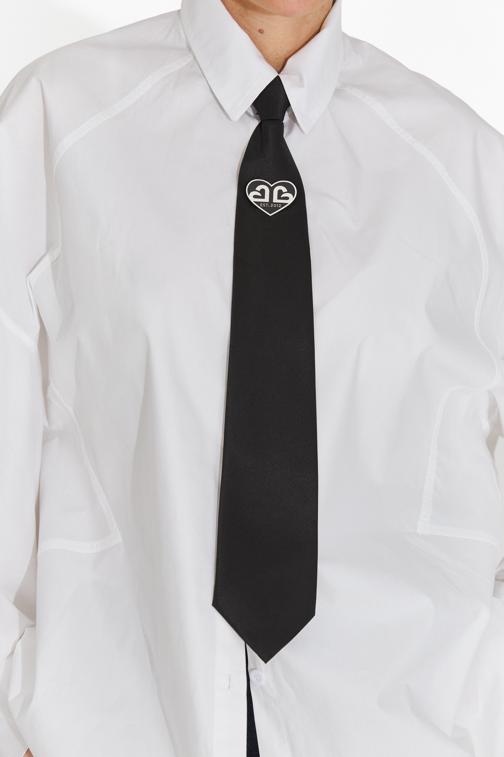 Elegant women's tie in silver and black Enania Bogas